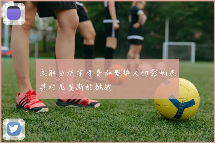 文胖分析字母哥加盟热火的影响及其对尼克斯的挑战
